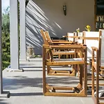 Olive Grove &