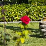 Olive Grove & 3* Свороната