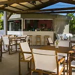 Olive Grove & 3*