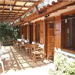 Olive Grove &