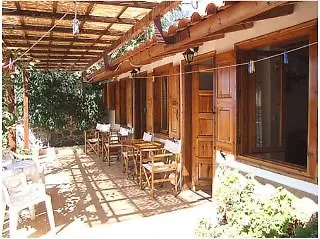 Olive Grove &