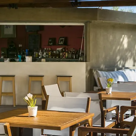 Olive Grove & 3*