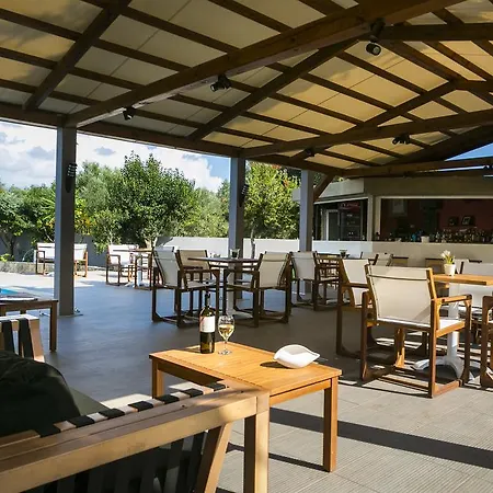 Olive Grove & 3*