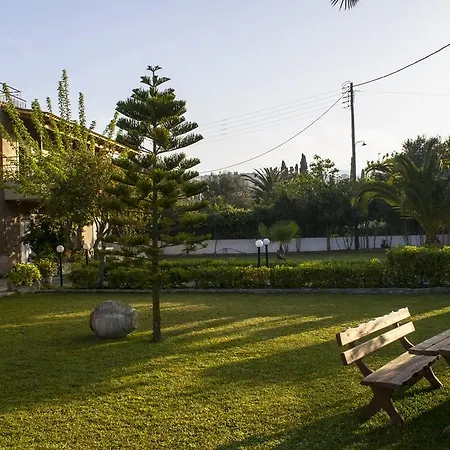 Olive Grove & 3*